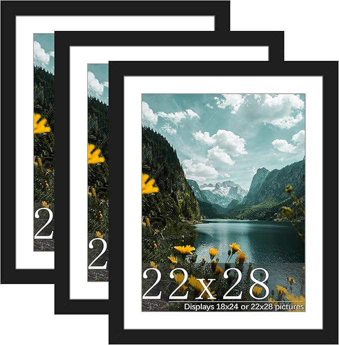 Picrit 22x28 Frame 3 Pack, Black Poster Frame, Display Poster 18 x 24 with Mat or 22 x 28 without Mat for Horizontal or Vertical Wall Mounting