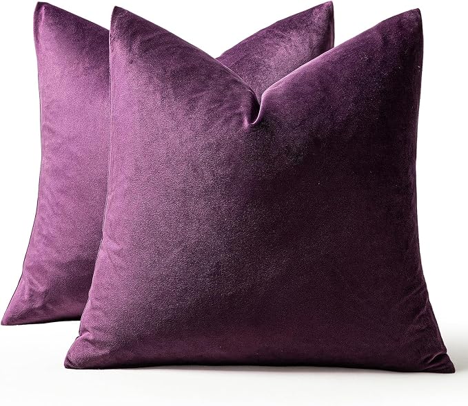 MIULEE Velvet Throw Pillow Covers 24x24 Inch, Pack of 2 - Eggplant Purple,Super Soft Decorative Square Euro Cushion Cases Modern Luxury Home Decor for Bed,Bedroom, Sofa,Couch