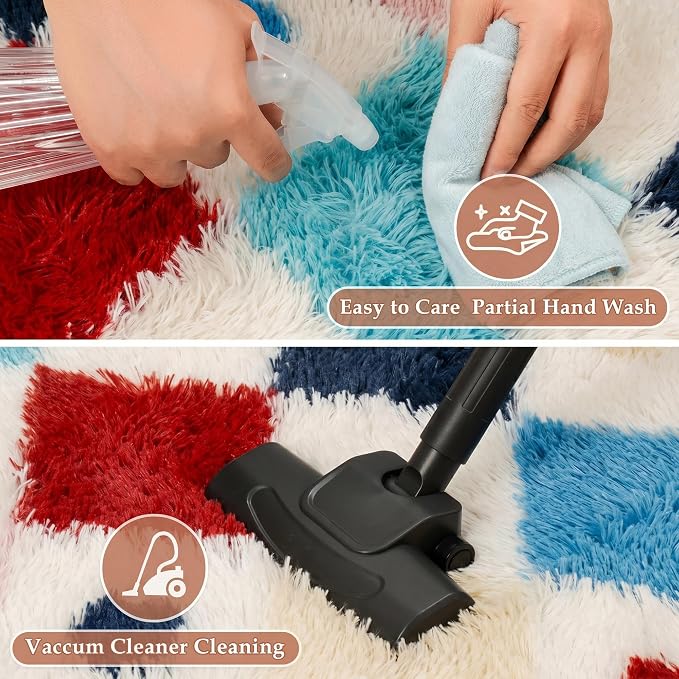 PureCozy Checkered Rug 4x6 Fluffy Shag Living Room Colorful Area Rug Modern Washable Carpet Soft Shaggy Non Slip Indoor Plush Fuzzy Rugs for Bedroom Dorm Office Home Aesthetic Decor