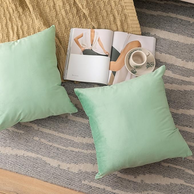 NiNi ALL Decorative Throw Pillow Covers Velvet 28x28 Inch Pack of 2 Sage Green Cushion Covers Soft for Couch Sofa Bedroom Living Room Outdoor