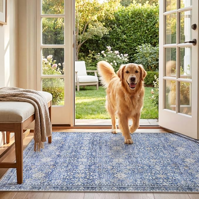 Sasttie 3x5 Rug, Ultra-Soft Washable Rug, Low Pile Foldable Thin Carpets with Non-Slip Backing, Skin-Friendly Stain Resistant Carpet for Living Room, Bedroom, Kitchen, Dorm, 3x5, Blue