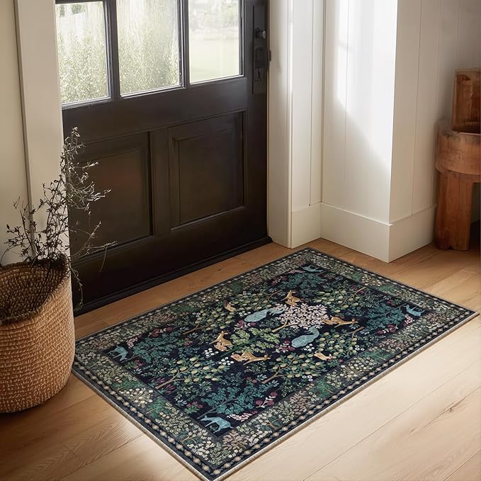 2x3 Washable Throw Rugs for Entryway: Door Mat Indoor Entrance Small Area Rug Non-Slip Low Pile Soft Kitchen Rug for Front Door Indoor Entrance Entry Kids Room Bedside