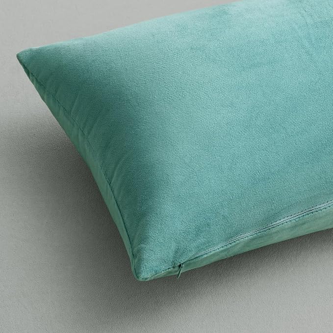 MIULEE 24x24 Inch Euro Sham Velvet Pillow Covers, Set of 2 Large Square Decorative Pillows -Aqua Green Super Soft for King Bed, Sofa, Couch, Accent Chairs with Hidden Zipper