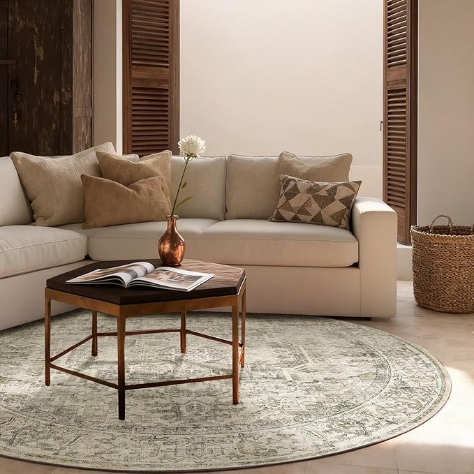 4x4 Round Bedroom Rug Washable: Living Room Rug Stain Resistant Non Slip Low Pile Soft Small Area Rug for Bedroom Entryway Kitchen Living Room Bedside Office Dorm Kids Room Entrance