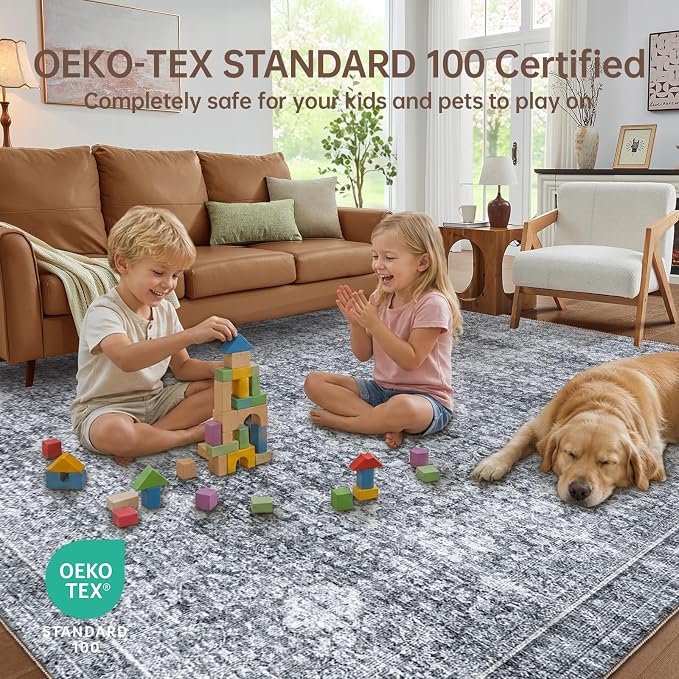 Sasttie 5x7 Area Rugs, Ultra-Soft Washable Rug, Low Pile Foldable Thin Carpets with Non-Slip Backing, Skin-Friendly Stain Resistant Carpet for Living Room, Bedroom, Kitchen, Dorm, 5x7, Black Grey