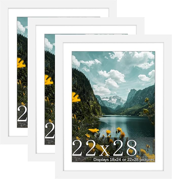Picrit 22x28 Frame 3 Pack, White Poster Frame, Display Poster 18 x 24 with Mat or 22 x 28 without Mat for Horizontal or Vertical Wall Mounting