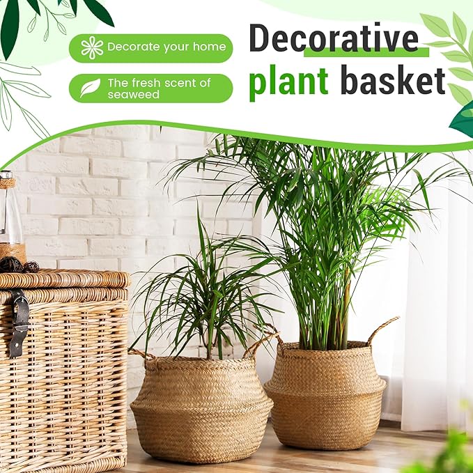 Knitgrip Large Wicker Plant Basket with Handle 10 Inch Woven Seagrass Belly Basket and Artificial Moss for House Plants Picnic Grocery Laundry Storage Home Decor(Large,Original,1 Pack)