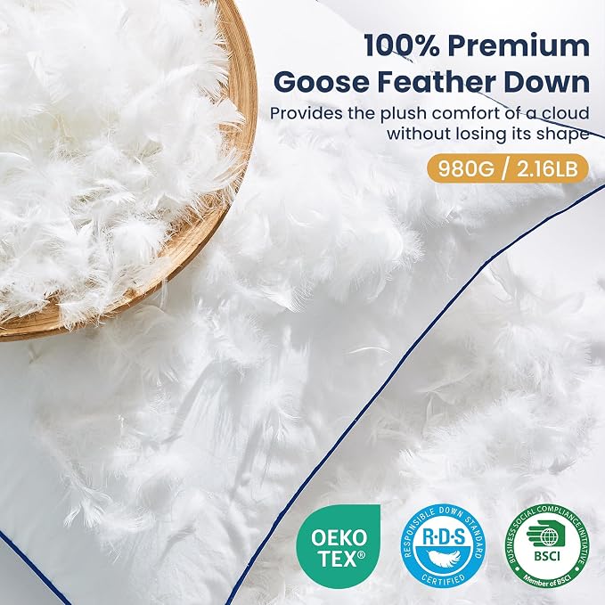 Down Pillow Inserts 20x20, 100% Goose Down Feather Throw Pillows Inserts - Ultra Plush, Decorative Pillow Insert with Soft Cotton Cover for Couch Sofa Bed Living Room White (Pack of 1)