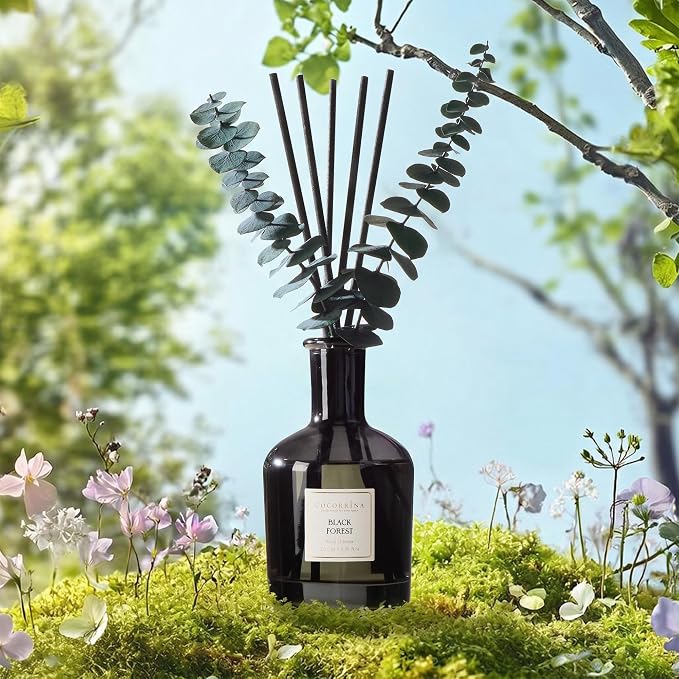 COCORRÍNA Black Forest Reed Diffuser – 6.76 oz Essential Oil with 8 Reeds & Real Eucalyptus Sticks, Home Fragrance for Bedroom or Bathroom Décor