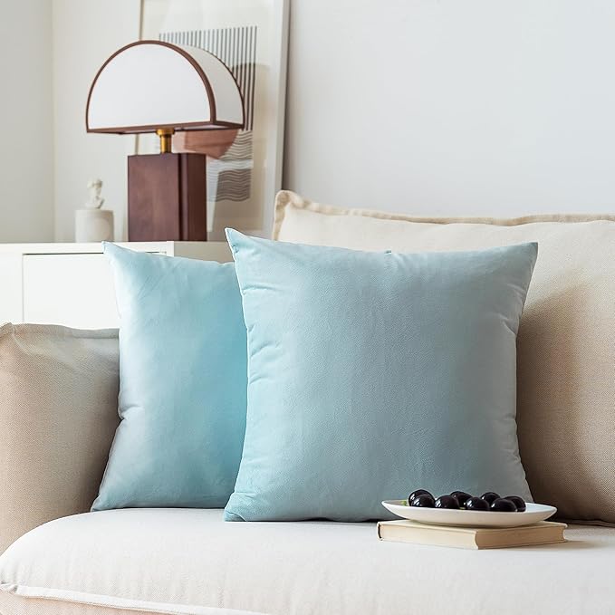 NiNi ALL Decorative Throw Pillow Covers Pack of 2, Velvet Throw Pillow Cases for Couch Pillows Cover Bedroom Living Room Outdoor Pillow Covers 18x18 Inch Baby Blue