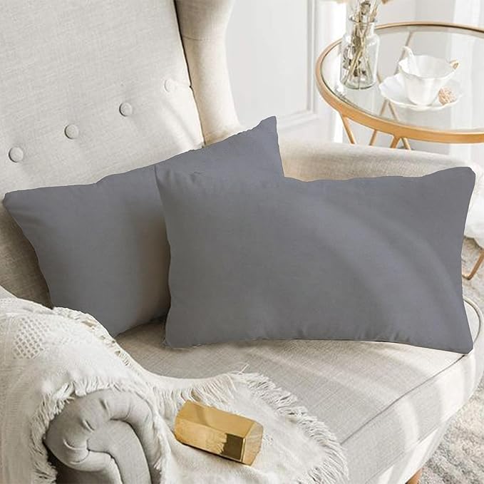 A1HC Set of 2 Luxurious Fine Soft Velvet Throw Pillow Covers Only, for Sofas, Beds, Vibrant Colors and Hidden Zipper. Enhance Your Living Space with Decorative Couch Pillow 12"x20", Dark Grey