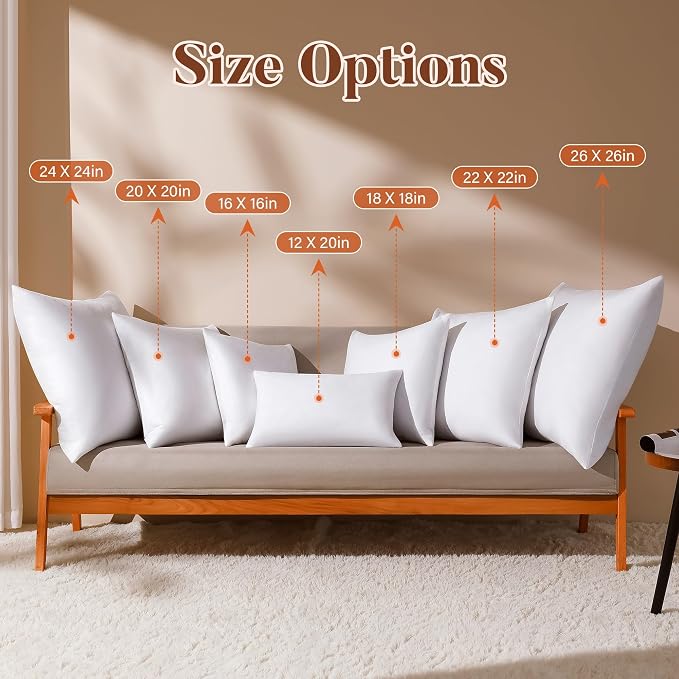 DOWNSTORIA 24x24 Euro Pillow Inserts Pack of 2, Decorative Feather Down Pillows with 100% Coton Cover,Throw Pillow for Bed, Couch and Sofa.