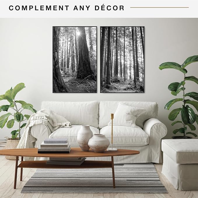 MCS Original Poster Frame 24x36 Black Lightweight Vertical & Horizontal Wall Hanging Large Picture Frame for Posters, Art Prints & Gallery Wall (2-Pack)