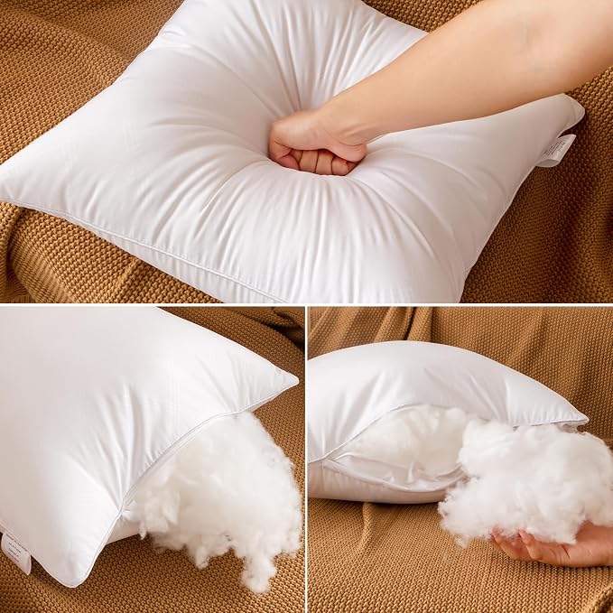 Oubonun 20x20 Throw Pillows Inserts Pack of 2, Decorative White Square Pillow Inserts, Premium Fluffy Pillow Insert Pair for Sofa Couch Living Room