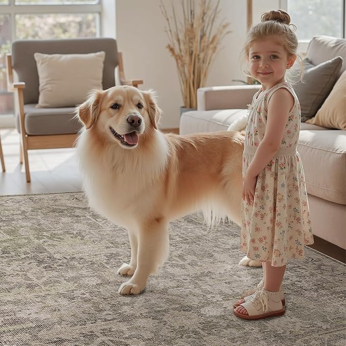 DCX Washable 9x12, Kid & Pet Friendly with Rubber Back Non Slip, Stain Resistant Vintage Rug for Living Room, Bedroom, Home Office, Soft Low Pile Large Farmhouse Distressed Carpet, Greige