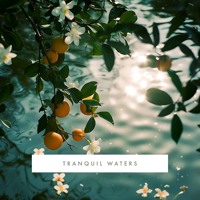 ScentAir Whisper Essential Monthly Plug-in Refill, Tranquil Waters | Fragrance Diffuser Cartridge Refill for Home and Office
