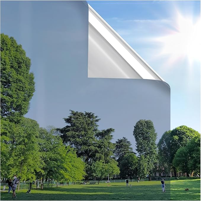 rabbitgoo Window Privacy Film One Way Window Tint for Home, Removable Reflective Heat Sun Blocking Anti UV Glass Door Covering, Mirror Tinting Film House Office, 23.6 in X 16.4 Feet, Silver