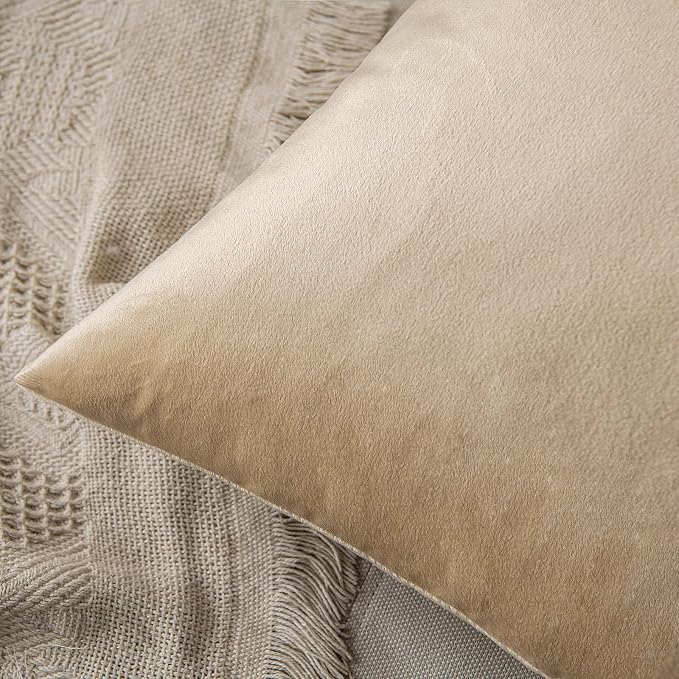 MIULEE Velvet Throw Pillow Covers 12x20 Inch, Pack of 2 - Beige, Soft Solid Lumbar Decorative Pillow Covers Modern Luxury Home Decor for Spring Couch Sofa Bedroom Livingroom