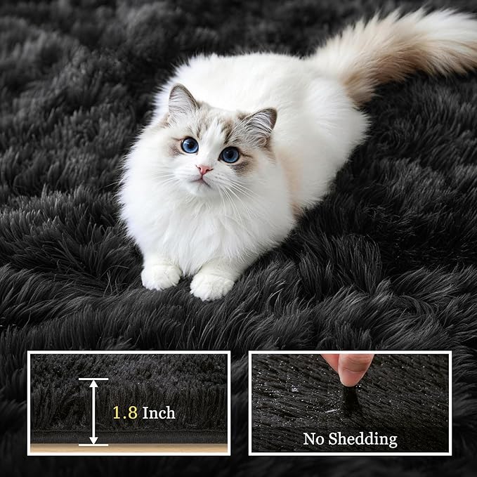 Fluffy 5x7 Area Rugs for Living Room Bedroom: Ultra Soft Shag Rug Non-Slip Non-Shedding Small Plush Bedside Rug Indoor Floor Carpets for Kids Room Playroom Entryway Nursery Dorms Home Decor Black