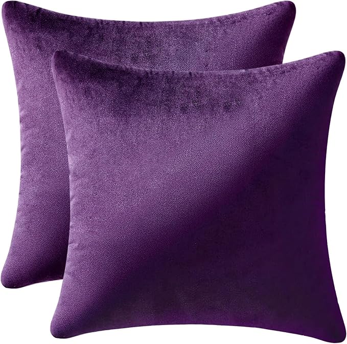MIULEE Velvet Throw Pillow Covers 26x26 Inch, Pack of 2 - Eggplant Purple,Super Soft Decorative Square Euro Cushion Cases Modern Luxury Spring Home Decor for Bed,Bedroom, Sofa,Couch