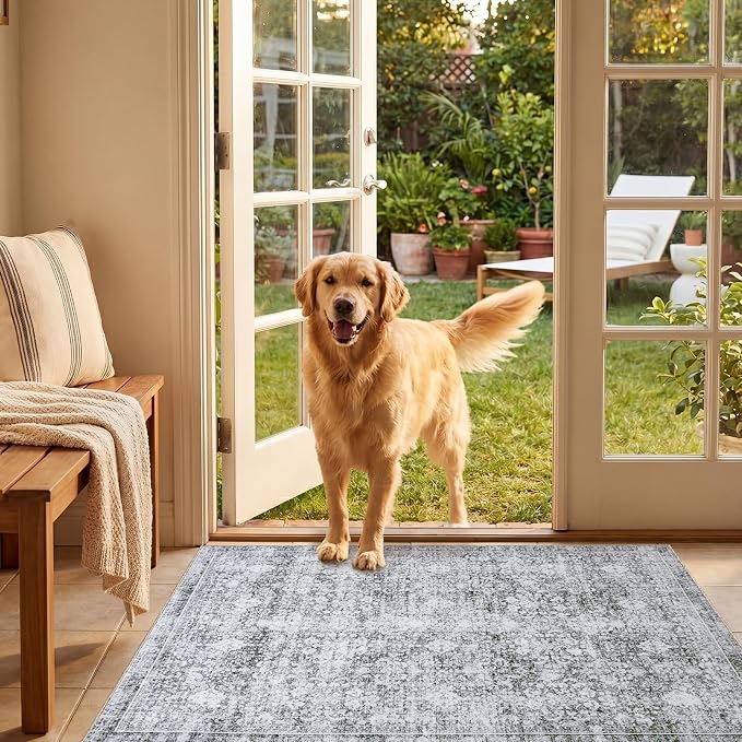 Sasttie 2x3 Rug, Ultra-Soft Washable Rug, Low Pile Foldable Thin Carpets with Non-Slip Backing, Skin-Friendly Stain Resistant Carpet for Living Room, Bedroom, Kitchen, Dorm, 2x3, Light Grey