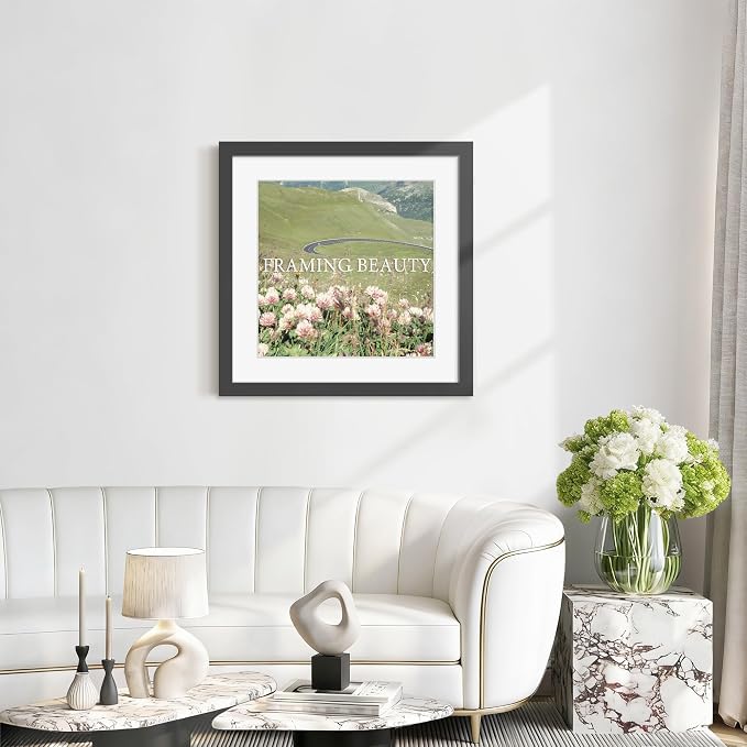 Picrit 24x24 Picture Frame 3 Pack, Black Poster Frame, Display Poster 20 x 20 with Mat or 24 x 24 without Mat for Horizontal or Vertical Wall Mounting