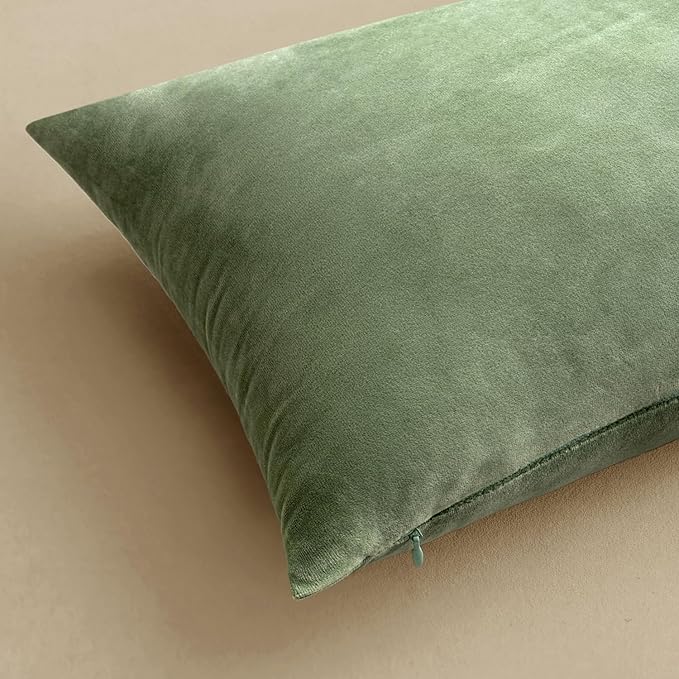 MIULEE Velvet Throw Pillow Covers 16x16 Inch, Pack of 2 - Sage Green, Soft Solid Decorative Pillow Covers Cushion Cases Modern Luxury Home Decor for Spring Couch Sofa Bedroom Livingroom