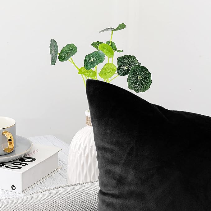 NiNi ALL Decorative Throw Pillow Covers Pack of 2, Velvet Throw Pillow Cases for Couch Pillows Cover Bedroom Living Room Outdoor, Pillow Covers 16x16 Inch, Black