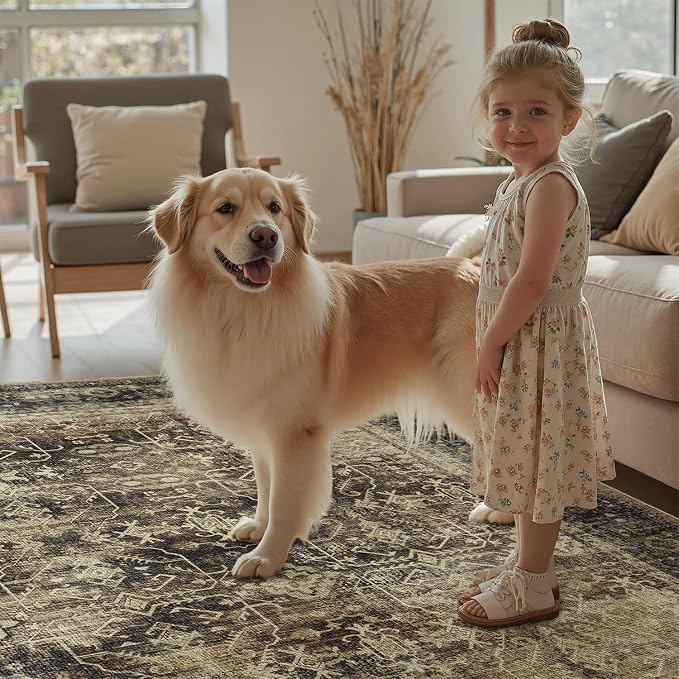 DCX Washable 9x12, Kid & Pet Friendly with Rubber Back Non Slip, Stain Resistant Vintage Rug for Living Room, Bedroom, Home Office, Soft Low Pile Large Farmhouse Distressed Carpet, Brown