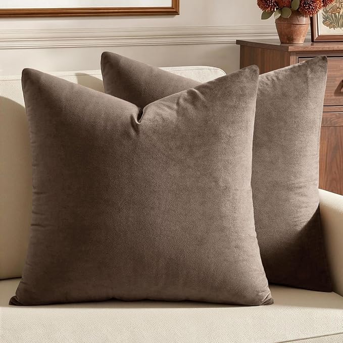 MIULEE Velvet Throw Pillow Covers 20x20 Inch, Pack of 2 - Coffee, Super Soft Decorative Square Cushion Cases Modern Luxury Home Decor for Sofa, Couch, Bed, Chair