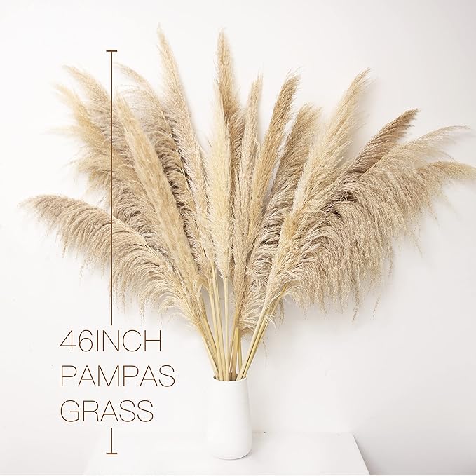 Pampas Grass Decor Tall 46 Inches,16 Stems Tall Pampas Grass for Floor Vase,Large Natural Dried Pompass Grass Branches Tall Fluffy,Boho Decor Pompous Grass No Shedding No Stench,for Home & Wedding