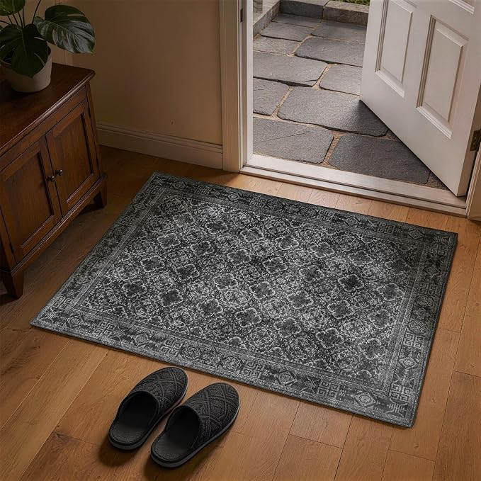 LIANLAM 2x3 Washable Area Rug, Vintage Boho Traditional Pattern, Non-Slip Stain Resistant Rug for Living Room Bedroom(2x3,Black/Boho)
