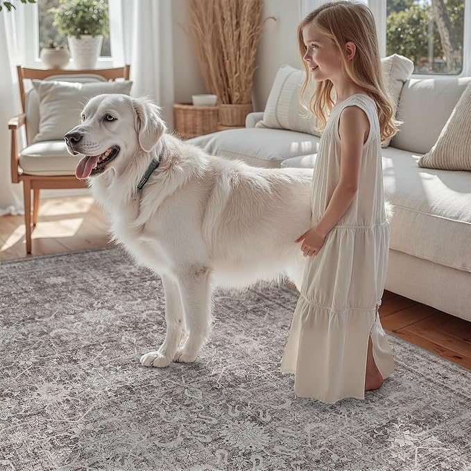 DCX Gray 5x7 Rug, Kid & Pet Friendly with Rubber Back Non Slip, Machine Washable Stain Resistant Vintage Traditional Distressed Carpet, Rug for Living Room, Bedroom, Home Decor