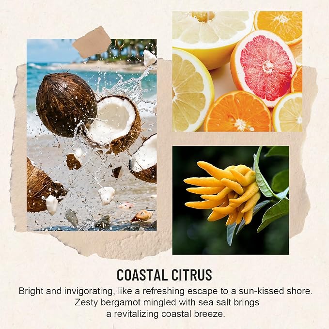 Auelife Reed Diffuser Set, Coastal Citrus 2 Pack 8 Fl Oz Scented Diffuser with Fiber Sticks, Home Fragrance Reed Diffuser for Bathroom Decor, Bedroom, Office & Housewarming Gift
