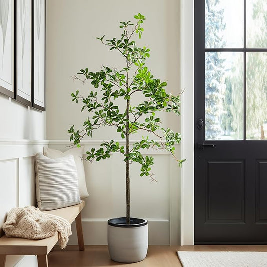 Erimda Faux Black Olive Tree 5ft, Faux Plants Indoor Large Tall Tree Artificial Shady Lady Tree with Natural Wood Trunk & Realistic Leaves, Fake Olive Plant for Home Office Indoor Decor