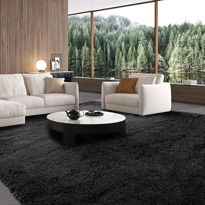 Area Rug 7x10 for Living Room: Black Area Rug 7 x 10 Carpets for Living Room - Shag Rug Modern Indoor Soft Shaggy Fuzzy Floor Carpet for Bedroom(Black/7x10Feet)