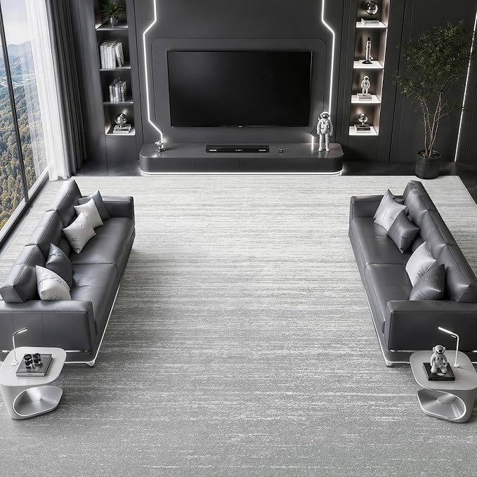 LIANLAM 8x10 Silver Infused Self-Cleaning Rug for Living Room (8x10,Silver) | NASA-inspired silver infused fabric washable rug,long-lasting surface freshness, low-pile minimalist versatile home decor