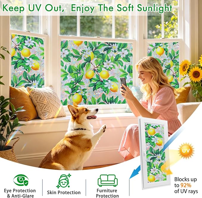 SOMWISE Rainbow Window Privacy Film,Heat Control,UV Blocking,Anti-Glare,Day & Night Privacy Protection & Decoration for Home, Bathroom,Glass Door,Static Cling,Renter-Friendly with Installation Tools