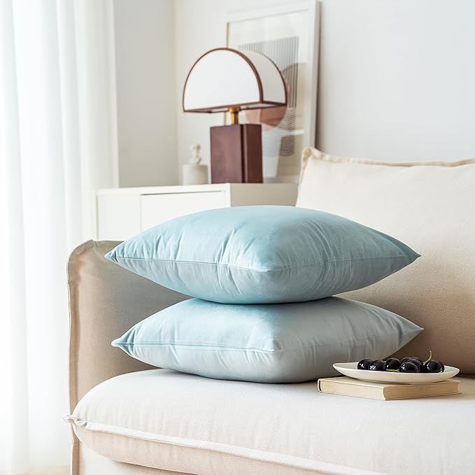NiNi ALL Decorative Throw Pillow Covers Pack of 2, Velvet Throw Pillow Cases for Couch Pillows Cover Bedroom Living Room Outdoor Pillow Covers 18x18 Inch Baby Blue
