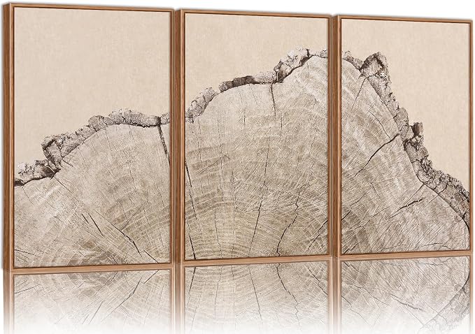 SIGNINART Large Tree Ring Framed Canvas Wall Art Set, Rustic Beige Nature Wooden Wall Decor, Neutral Wood Stump Artwork, Modern Art Prints for Bedroom Living Room Office 24"x36"x3