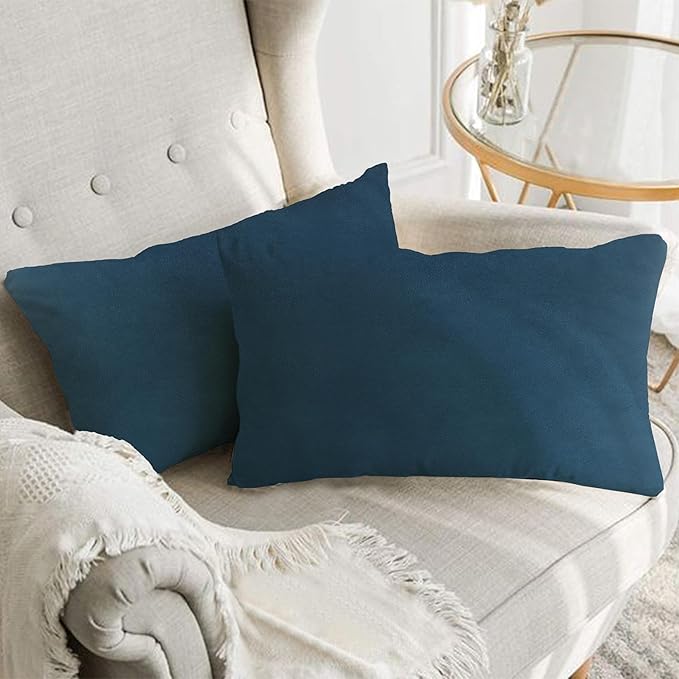 A1HC Set of 2 Luxurious Fine Soft Velvet Throw Pillow Covers Only, for Sofas, Beds, Vibrant Colors and Hidden Zipper. Enhance Your Living Space with Decorative Couch Pillow 12"x20", Teal