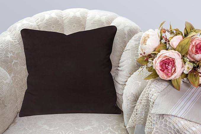 A1HC Set of 2 Luxurious Fine Soft Velvet Throw Pillow Covers Only, for Sofas, Beds, Vibrant Colors and Hidden Zipper. Enhance Your Living Space with Decorative Couch Pillow 24"x24", Graphite