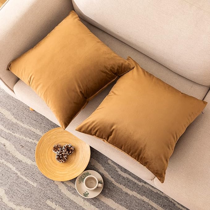 NiNi ALL Decorative Throw Pillow Covers Velvet 26x26 Inch Pack of 2 Brown Cushion Covers Soft for Couch Sofa Bedroom Living Room Outdoor