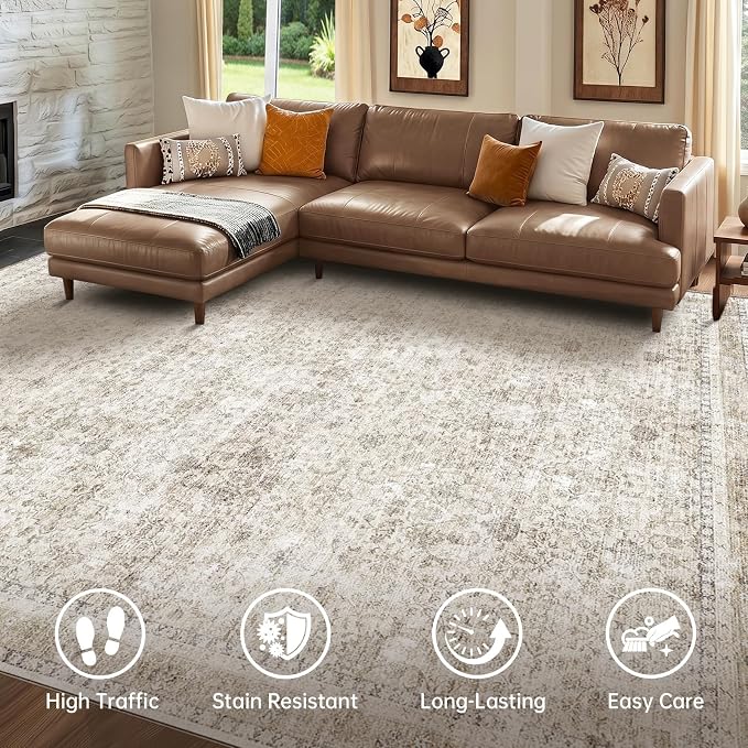 Sasttie 4x6 Area Rug, Ultra-Soft Washable Rug, Low Pile Foldable Thin Carpets with Non-Slip Backing, Skin-Friendly Stain Resistant Carpet for Living Room, Bedroom, Kitchen, Dorm, 4x6, Beige