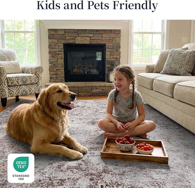 Pet Friendly Washable 4x6 Rug: Easy to Clean Durable Carpet for Homes With Pets or Elderly Anti Skid Backing for Hardwood or Tile Floors Ideal for High Traffic Living Room Dining Room (Brick Gray,4x6)