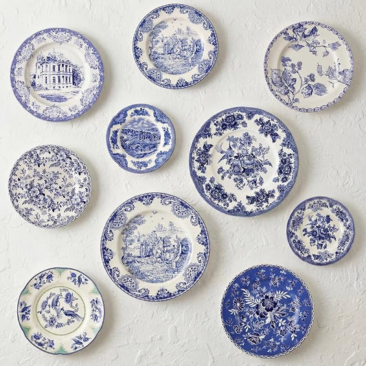10 Pcs Coastal Vintage Ceramic Wall Plates Set, Blue and White Decoration Hanging Plates with Botanical Patterns, Holland Vintage Gifts for Wall, Home Office Art Ornament(Retro)