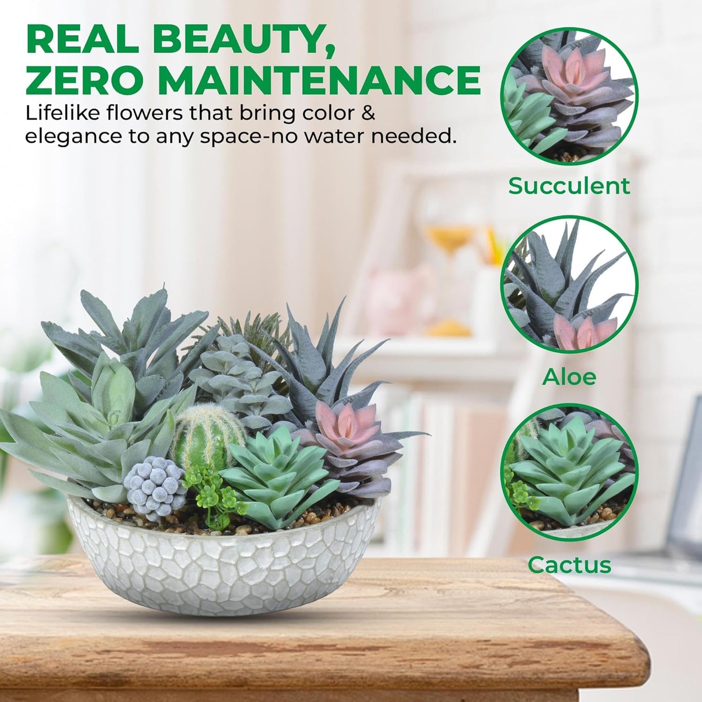 Premium Assorted Artificial Succulent Collection - Large Real Touch Artificial Cactus, Aloe Vera & Succulent Plants Artificial with Pots for Home Office Indoor (Artificial Glass - Pot)