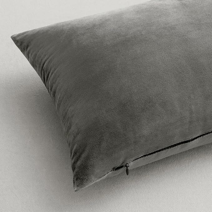 MIULEE 24x24 Inch Euro Sham Velvet Pillow Covers, Set of 2 Large Square Decorative Pillows -Grey Super Soft for King Bed, Sofa, Couch, Accent Chairs with Hidden Zipper