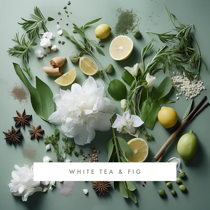ScentAir Whisper Essential Monthly Plug-in Refill, White Tea & Fig | Fragrance Diffuser Cartridge Refill for Home and Office