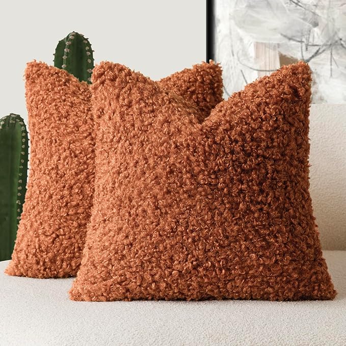 Foindtower 2 Pieces 18x18 Inch Burnt Orange, Faux Fur Throw Pillow Cover Accent Sherpa Furry Pillow Cover Fuzzy Soft Pillowcases Cozy Sheepskin Decorative Fleece Cushion Case for Bed Couch Living Room